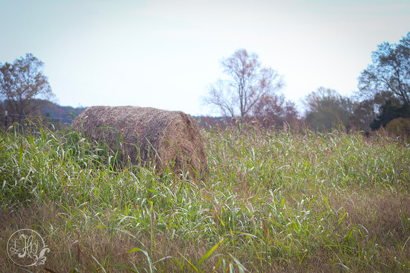 Landscape with Haybale