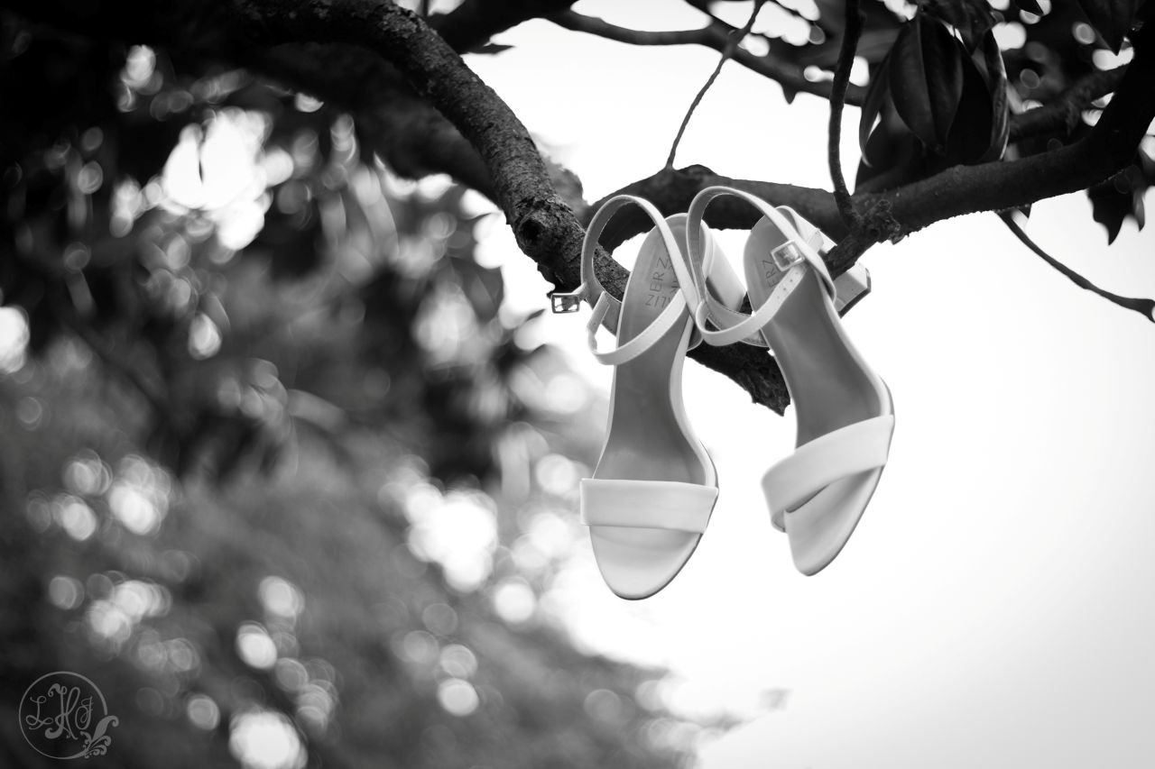 Black and white photo of heels in a magnolia tree