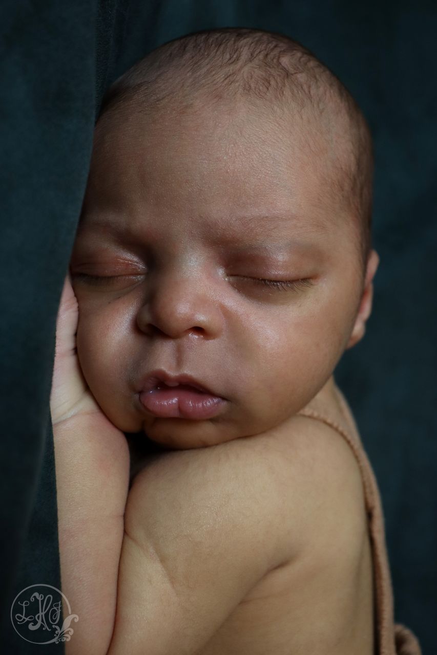 Vertical Newborn Portrait- Hands tucked under baby's cheek